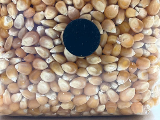 Grain Spawn mais Bio Sterilizzato Con porta d'iniezione