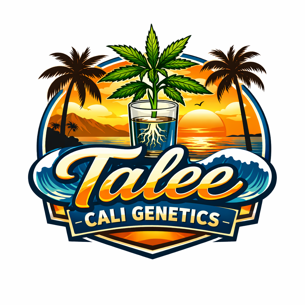 Talee Cali Genetics