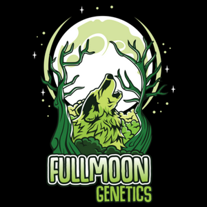 High Fructose Corn Syru Talea (Micropropagata) Full Moon Genetics