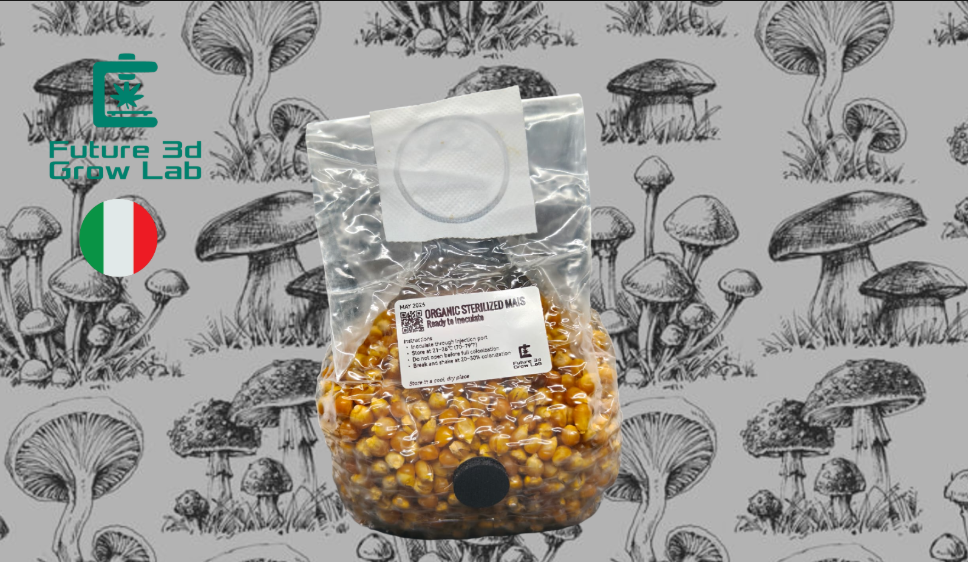 Grain Spawn mais Bio  Sterilizzato Con porta d'iniezione