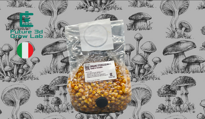 Grain Spawn mais Bio  Sterilizzato Con porta d'iniezione