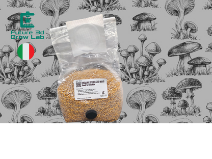 Grain Spawn Miglio Bio Sterilizzato Con porta d'iniezione