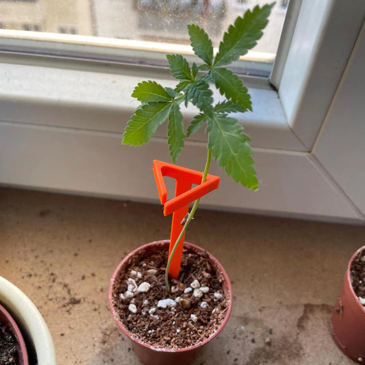 Set 8x Supporti per Talee e Giovani Piante