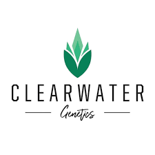 Apple Tartz Talea (Micropropagata)  Clearwater Genetics