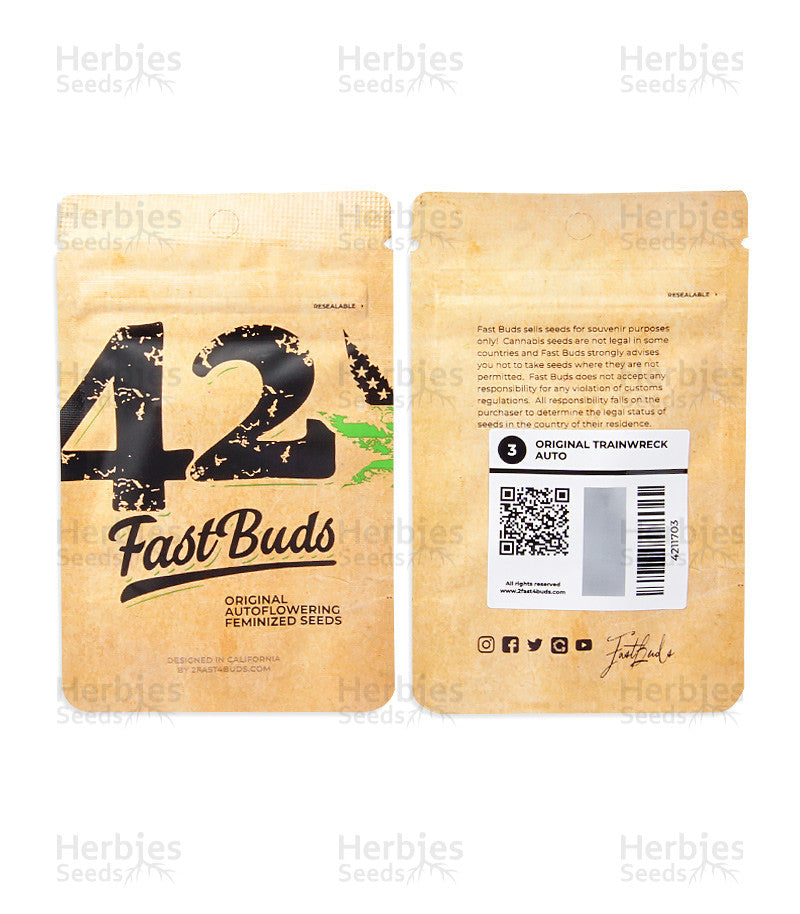 FAST BUDS   ORIGINAL TRAINWRECK AUTO FEM  3 SEMI