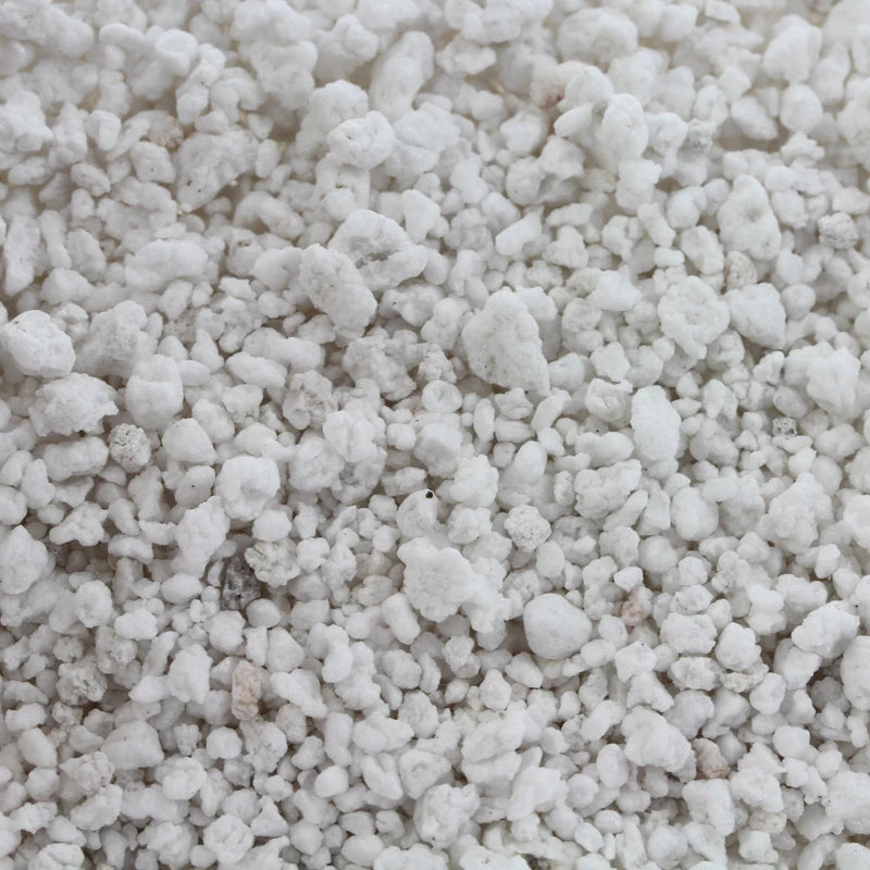 PLAGRON   PERLITE  10L
