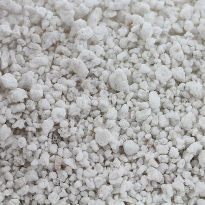 PLAGRON   PERLITE  10L
