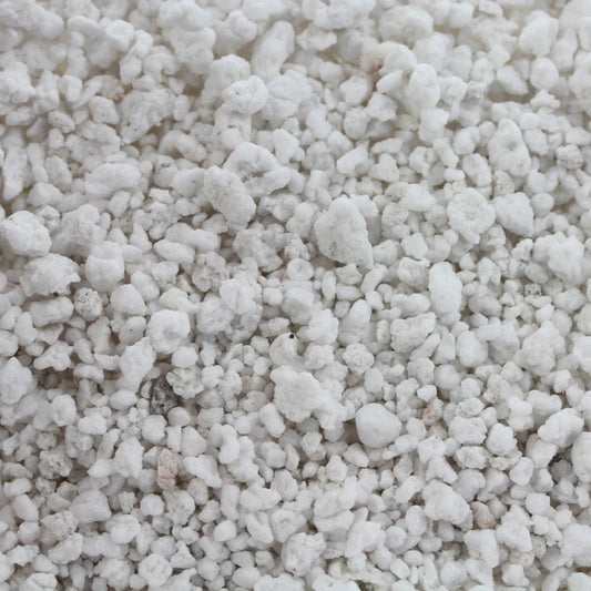 PLAGRON   PERLITE  10L