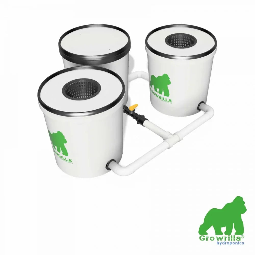 SISTEMA IDROPONICO RDWC 2.0  2VASI Growrilla Hydroponics