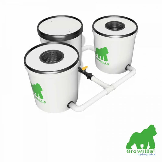 SISTEMA IDROPONICO RDWC 2.0  2VASI Growrilla Hydroponics